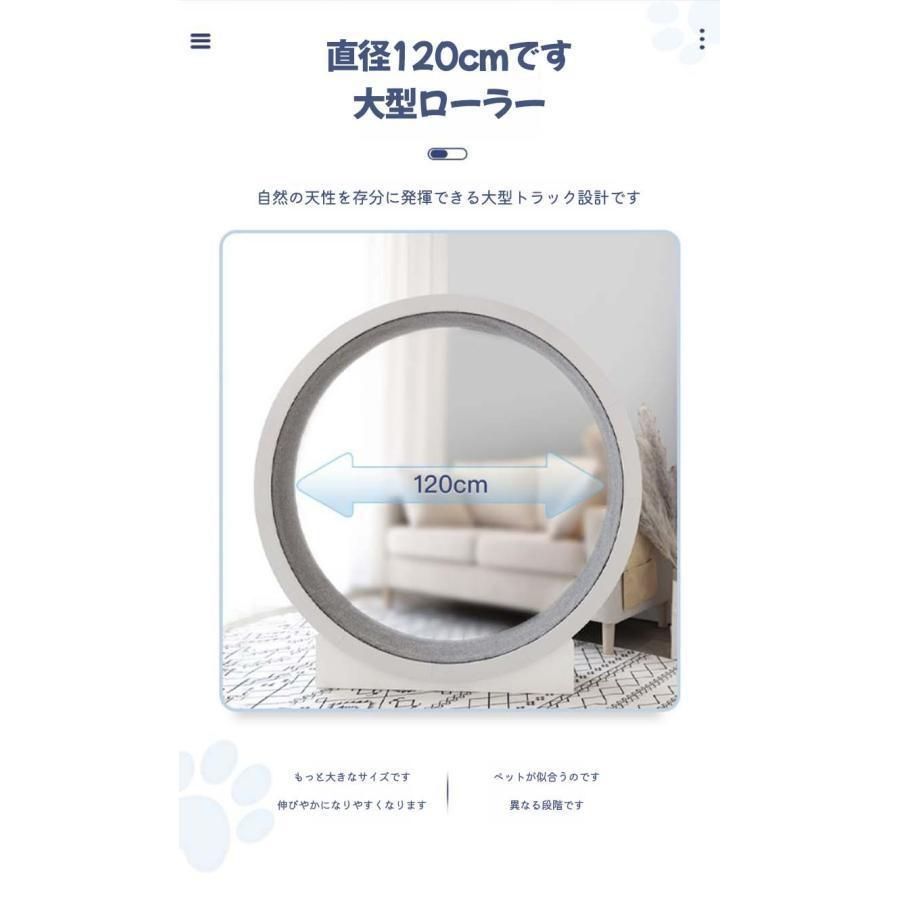 爪研ぎ
