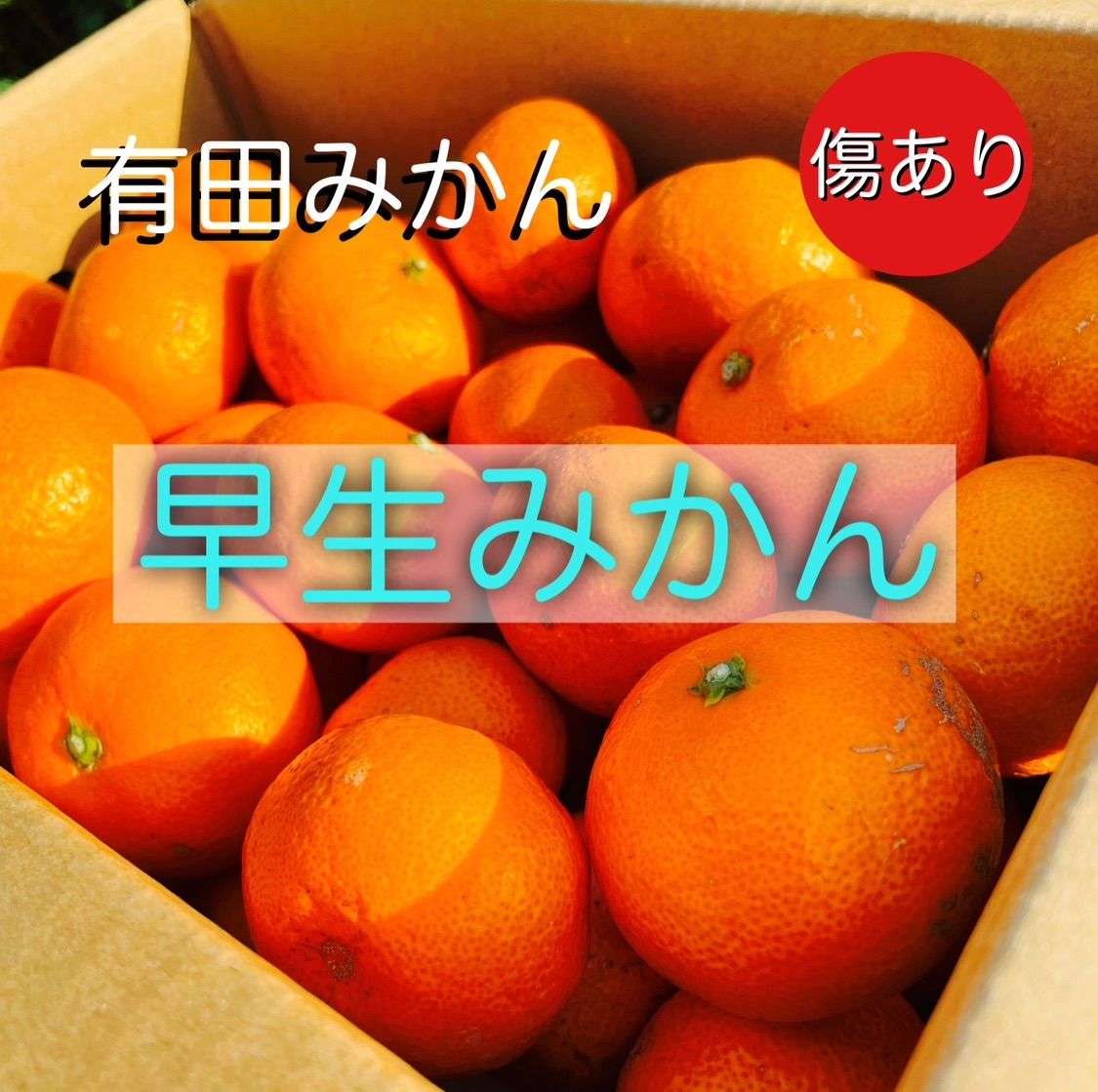 有田みかん 早生 見た目傷あり サイズ混合 ３キロ