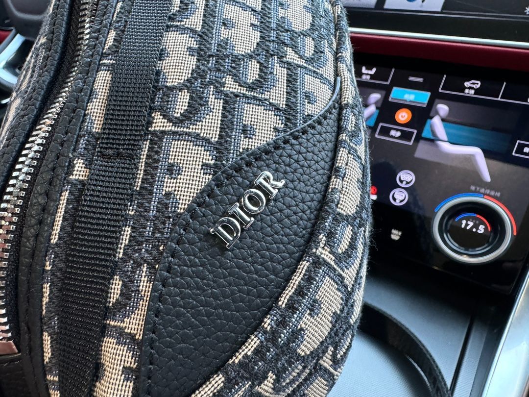 DIOR Scarab