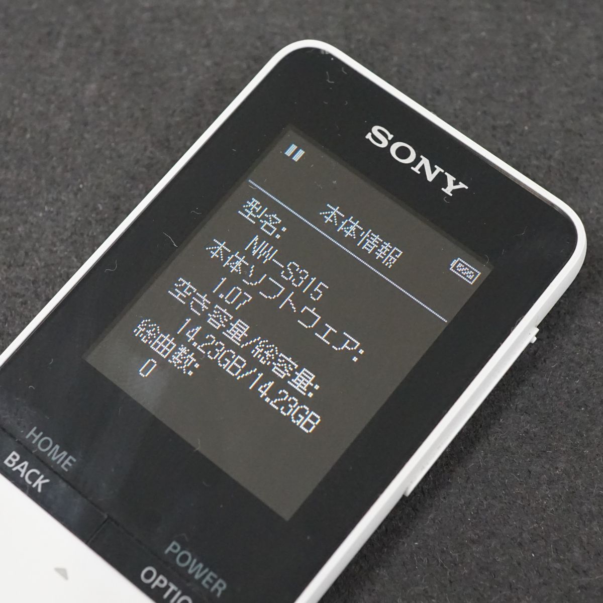 SONY WALKMAN NW-S315 ソニーウォークマン 16GB ブルー - ポータブル