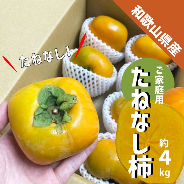 4.和歌山県産 たねなし柿 家庭用 かき 【公式通販】