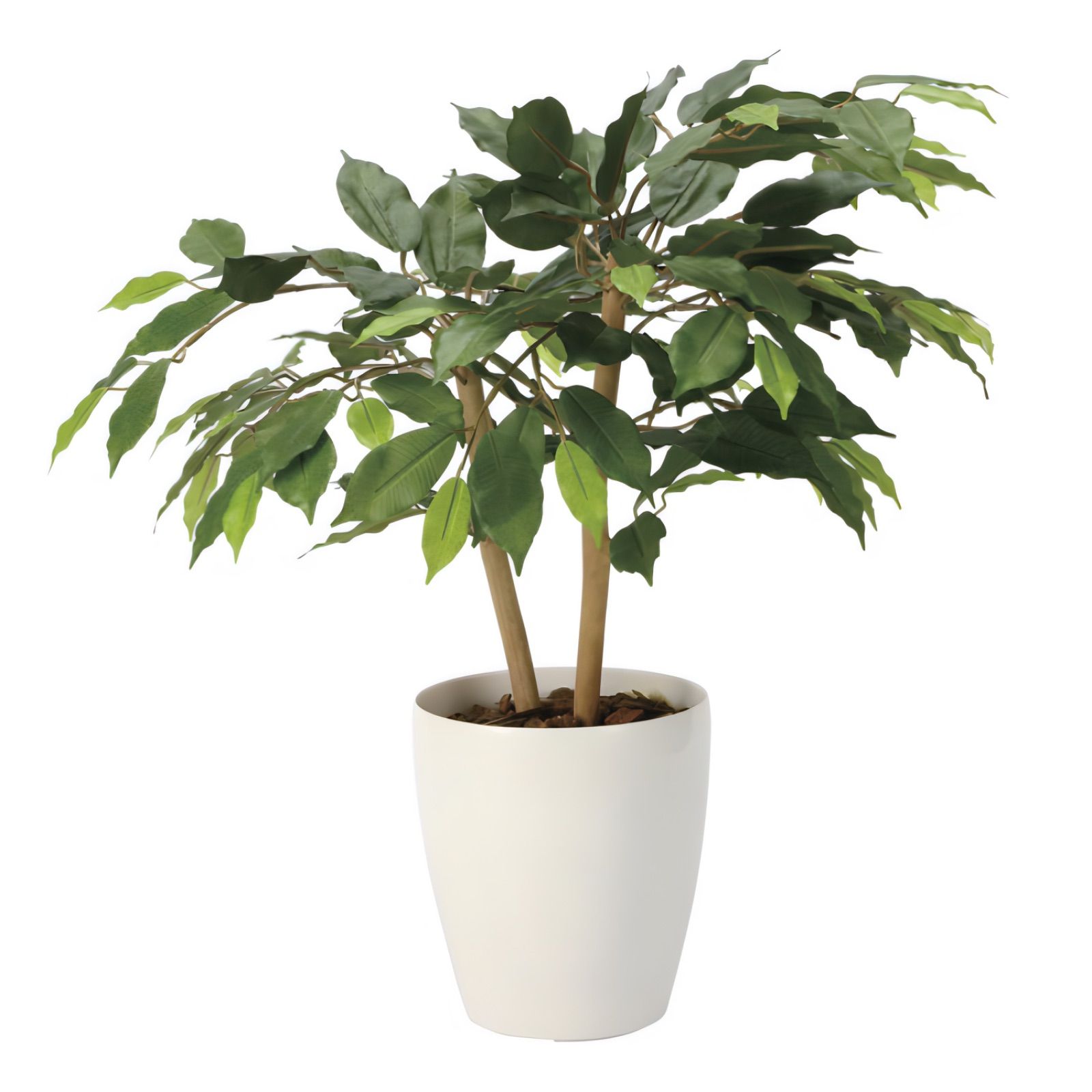 光触媒 人工観葉植物 ウォールグリーン フェイクグリーン ベンジャミン