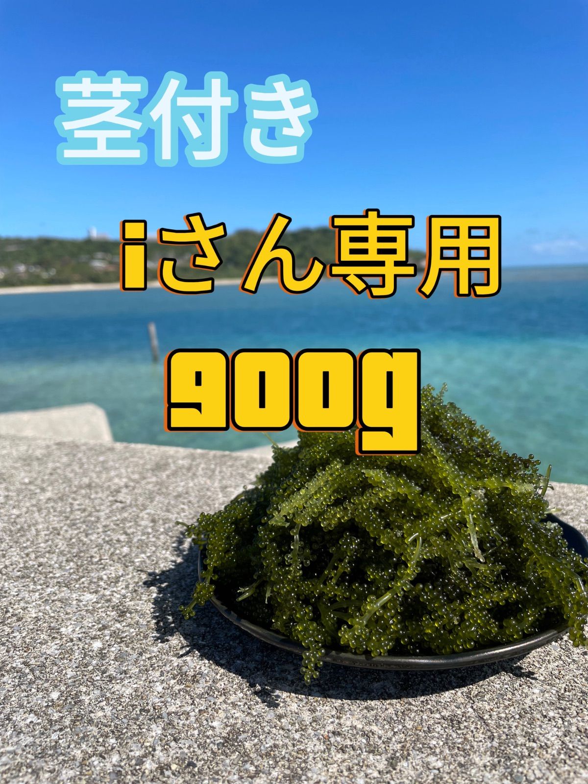 期間限定価格商品 茎付き メルカリ - ぷちぷち海ぶどう 魚介類(加工食品)