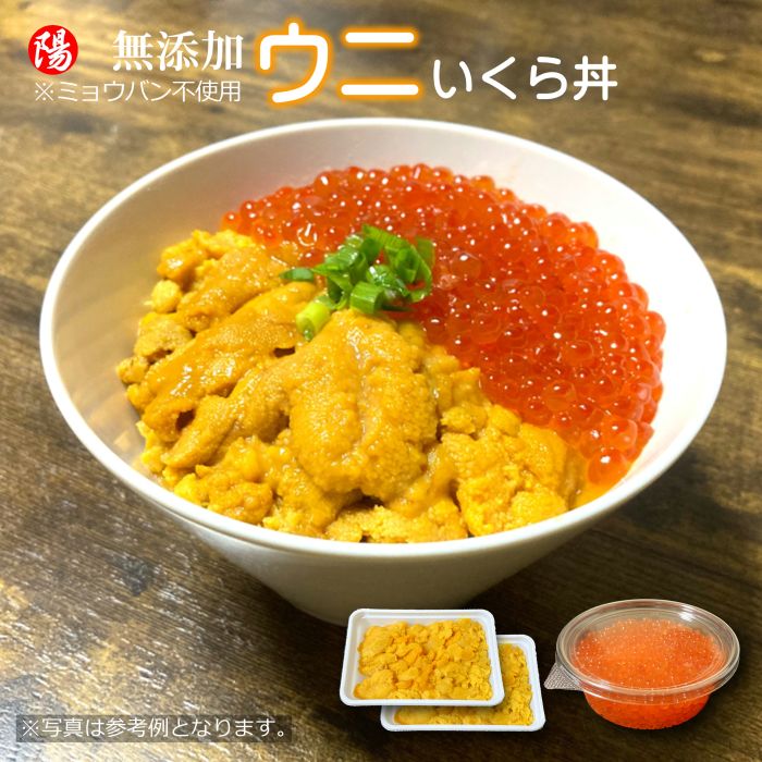 ♯Lmi27BZ 妄想おねえさんのお寿司屋さん 全6種 ガチャポン ♯Lmi27BZ