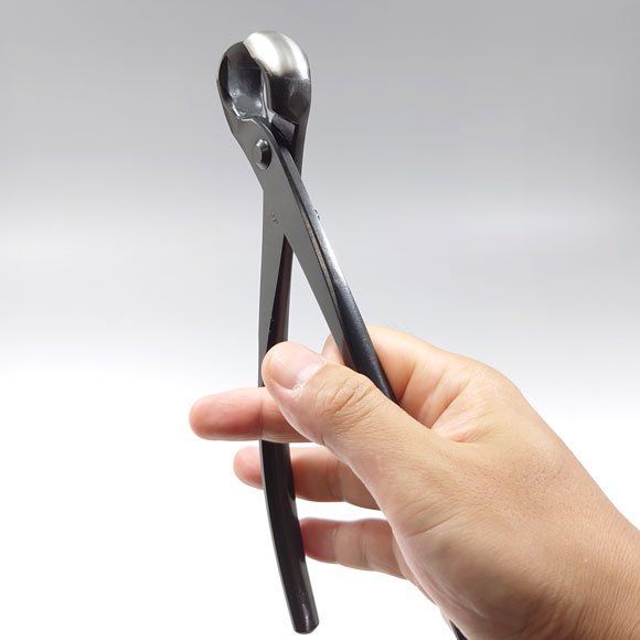 昌国 No.36 コブ切 小 盆栽道具 【公式通販】