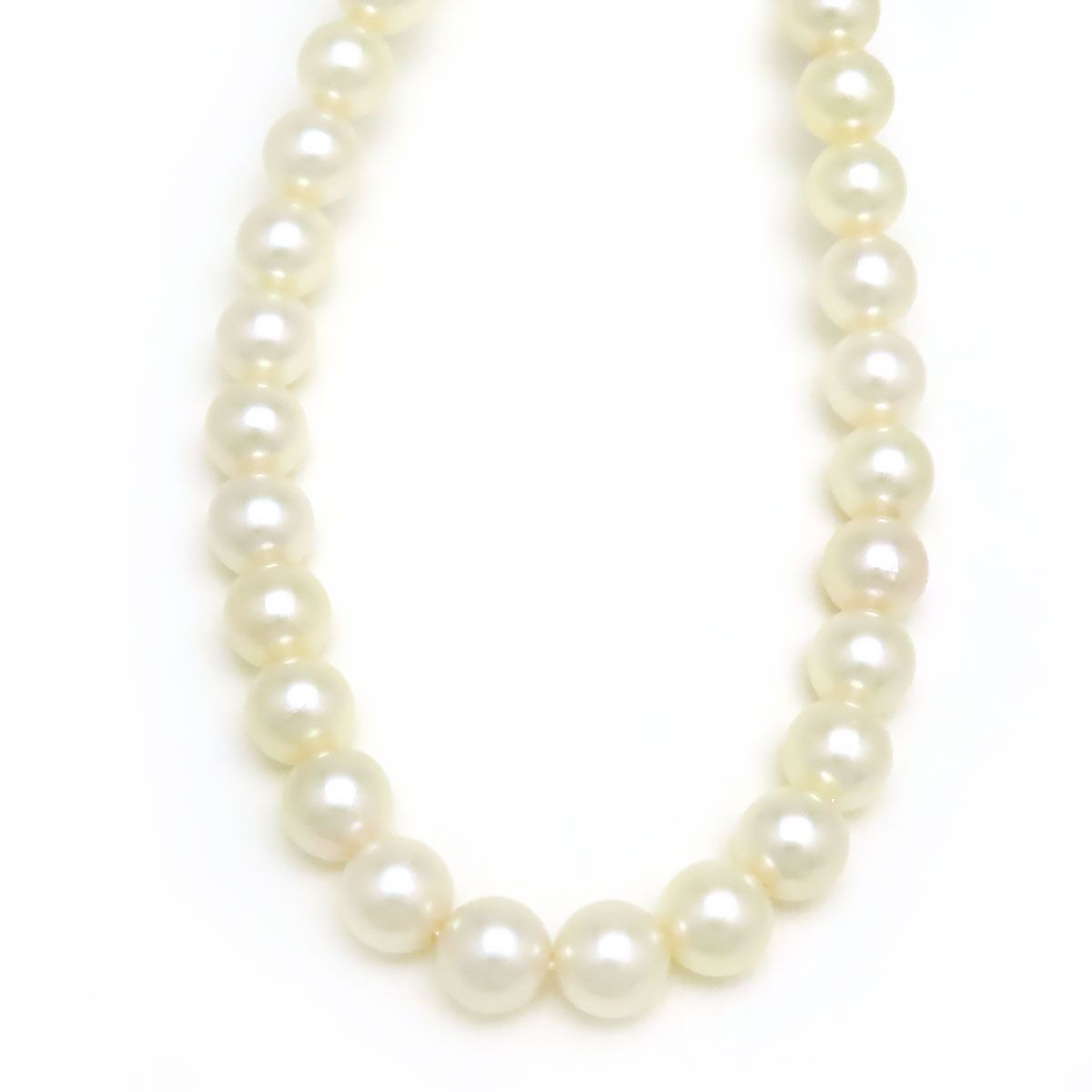 ミキモト アコヤ パール ネックレス WGK14 (K14WG) レディース  