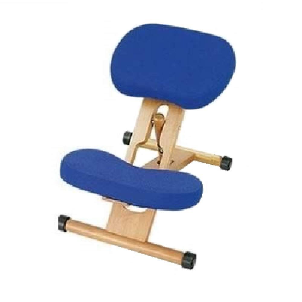 セール プロポーションチェア|姿勢矯正椅子 ブルー 木製 座面高さ調整可|キャスター付き ds-1647730