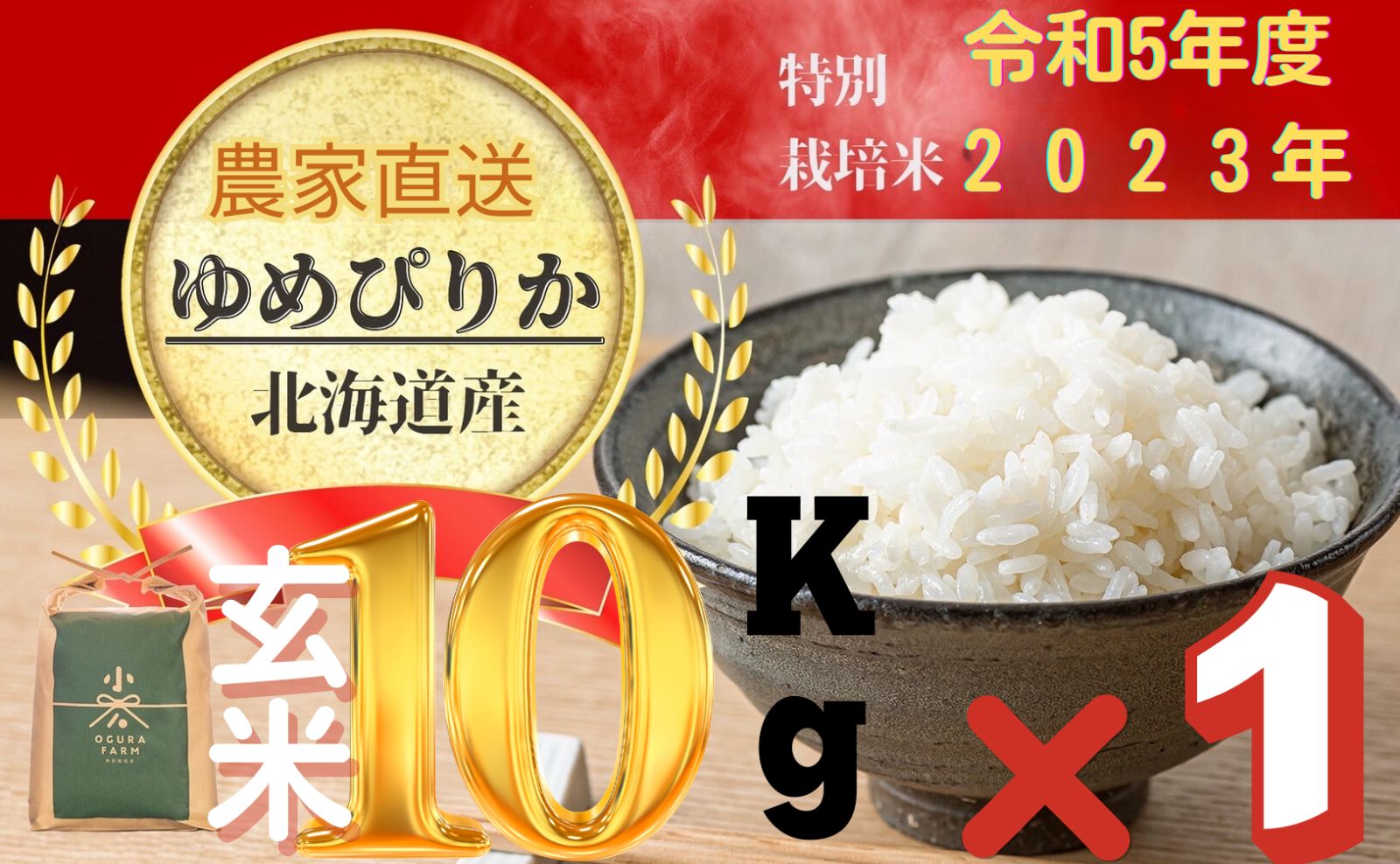 (10㎏×1玄米)2022年度新米!農家直送の北海道産ゆめぴりか