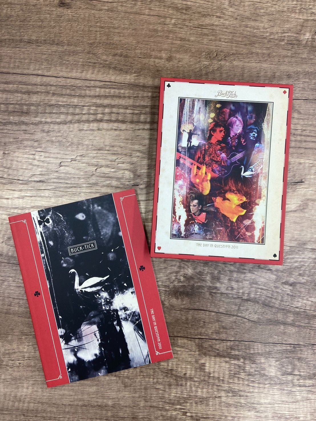 THE DAY IN QUESTION 2011 初回限定盤 DVD 櫻井敦司 BUCK-TICK