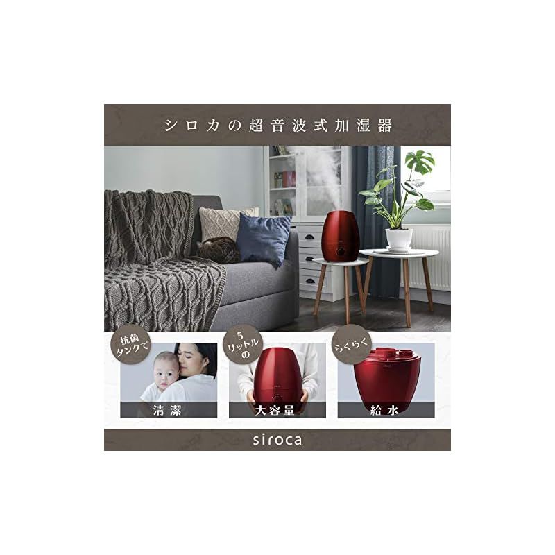 シロカ 加湿器 大容量 5L 超音波 SD-C113 パールホワイト 大容量5L 給水タンク分離 タンク抗菌加工 0