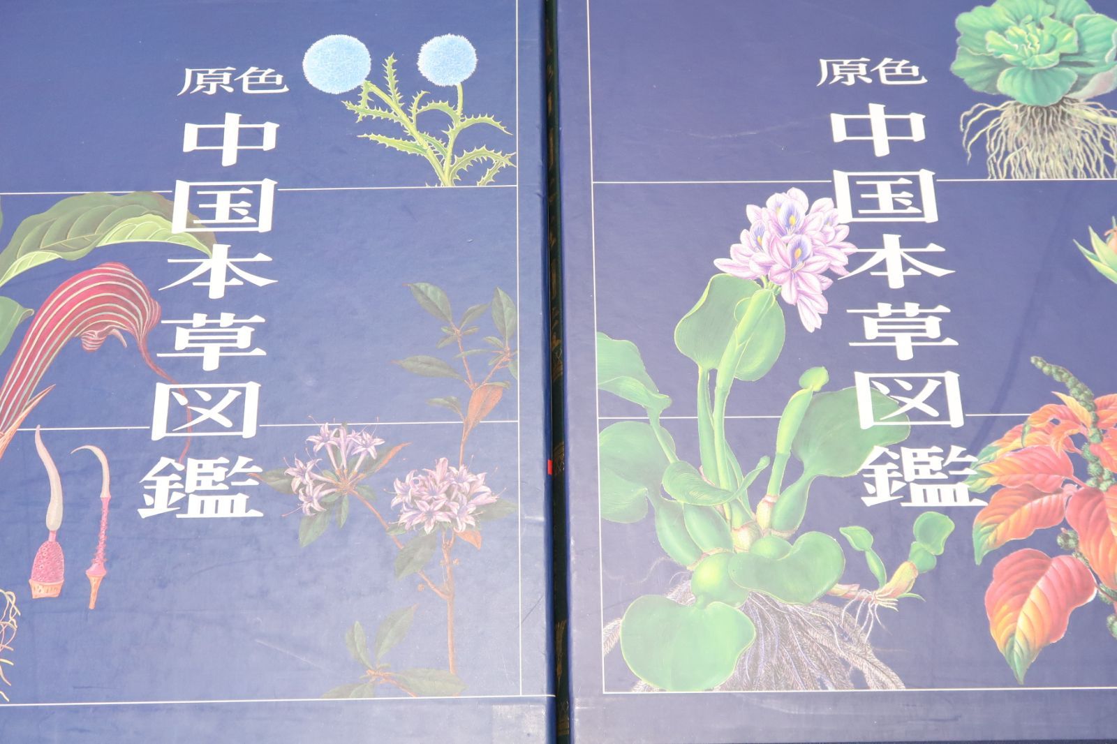 原色中国本草図鑑・9冊/最新最大の原色本草図鑑/多数の薬用植物に少数