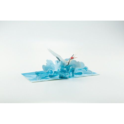 フィンガーライム 大苗 4年生〜 優良品種 ボリュームバリューセット