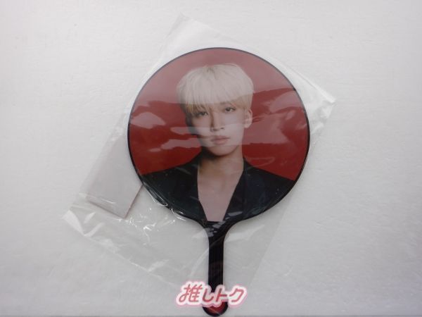 SEVENTEEN JEONGHAN うちわ 2021 CONCERT POWER OF LOVE IMAGE