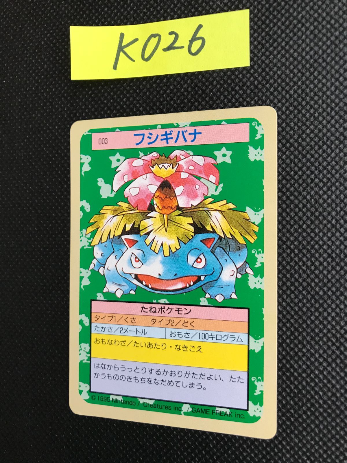 フシギバナ トップサン