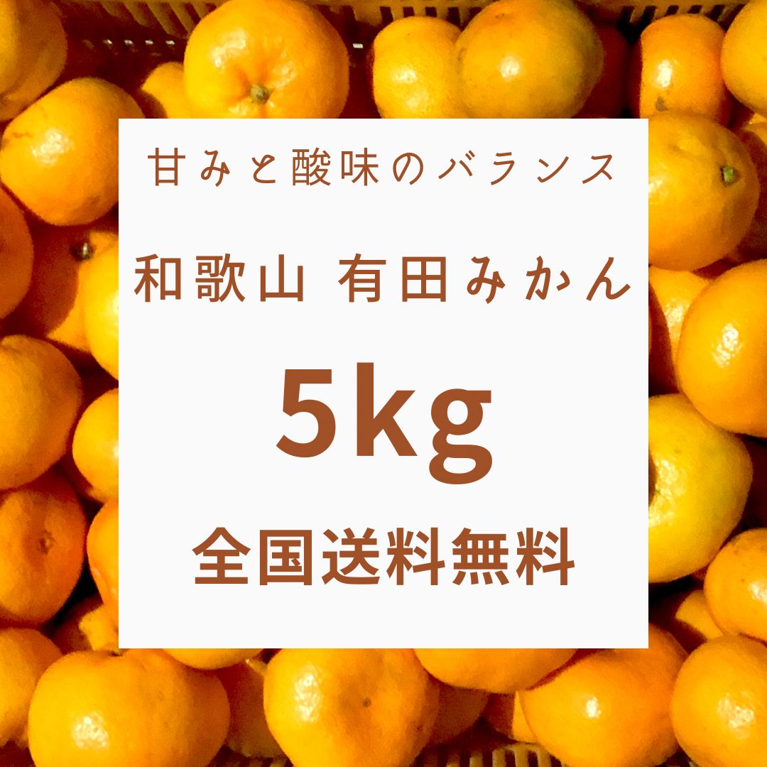 kokomo　和歌山県産フルーツ　甘くて美味しい有田みかん5kg和歌山から産地直送！！　メルカリ