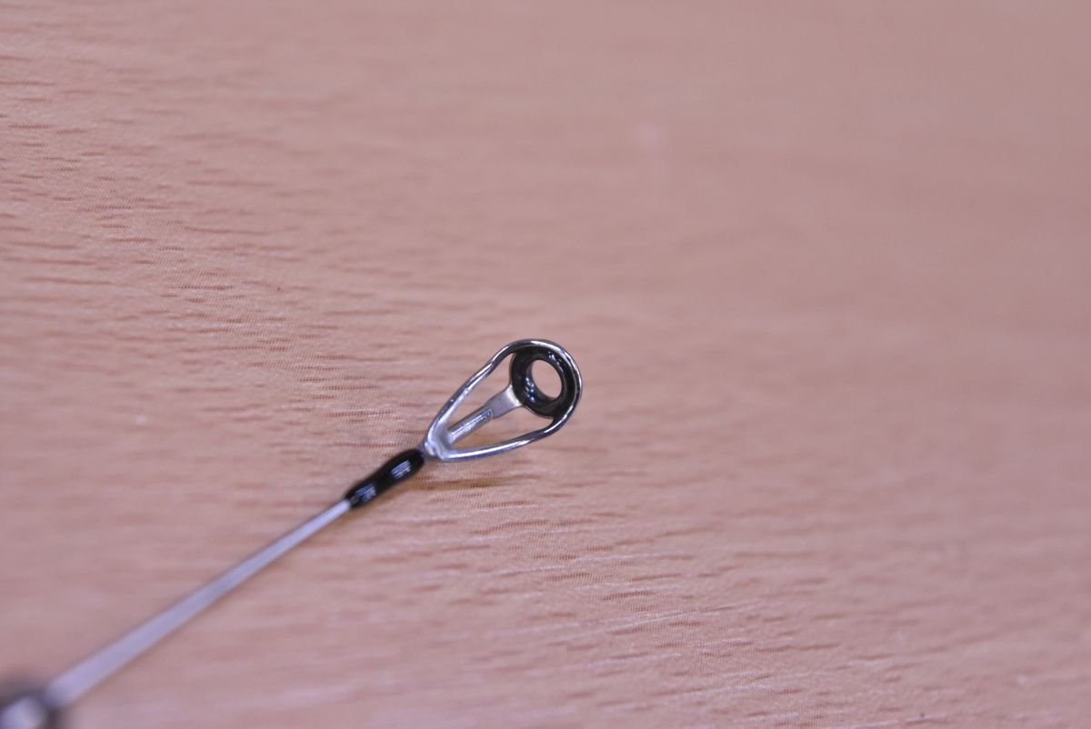 アオリイカ エギング