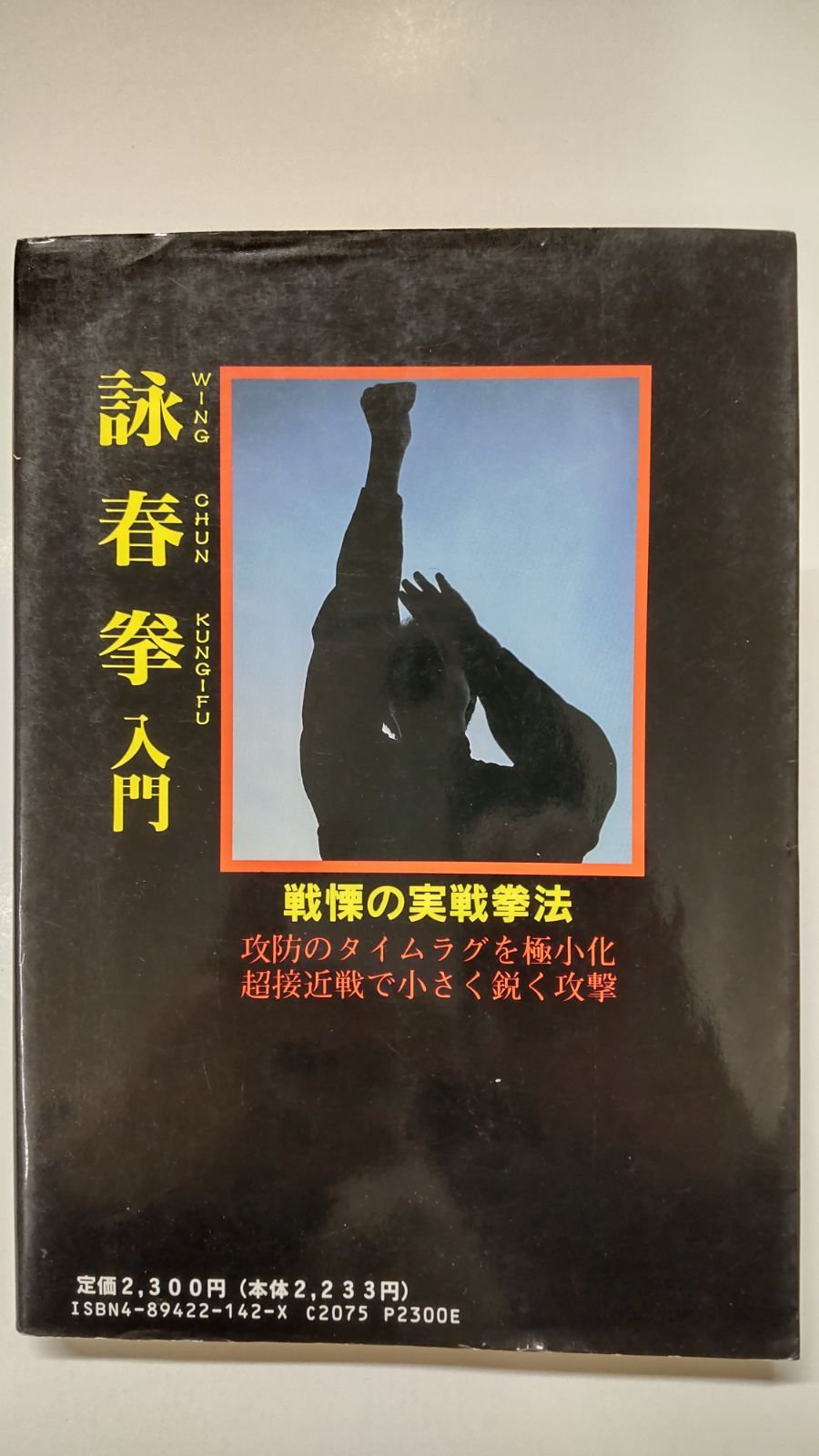 詠春拳入門 戦慄の実戦拳法