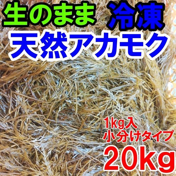 アカモク ２０ｋｇ（1ｋｇ×20袋）【生のまま冷凍小分け品】の完全無添加 ！あかもく ぎばさ ねばねば ネバネバ ギバサ「冷凍アカモク２０ｋｇ（1kｇ×20袋）」【140】