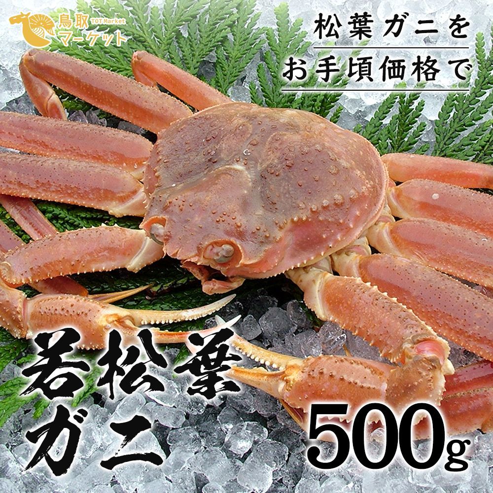 海ぶどう【茎付き】2キロぷちぷち奥武島産高 品質