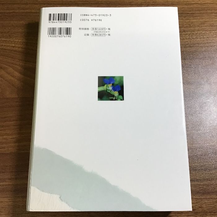 四季折おり 茶の湯ごよみ 宗室 |本 通販 茶の湯ごよみ―風炉の