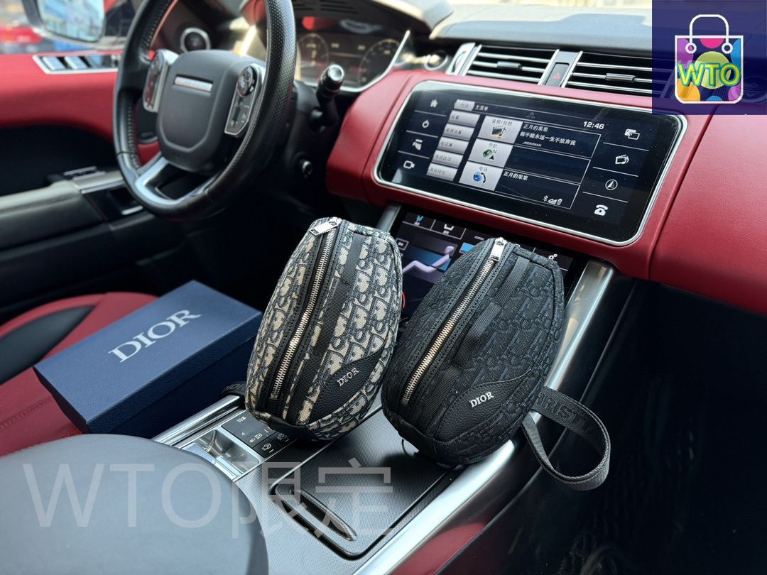 今日WTO】DIOR Scarab オブリークプリントショルダーバッグ