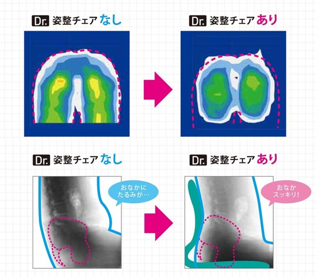 売りショップ 専門家と座り姿勢を徹底検証「Dr.姿整チェア」 【公式通販】