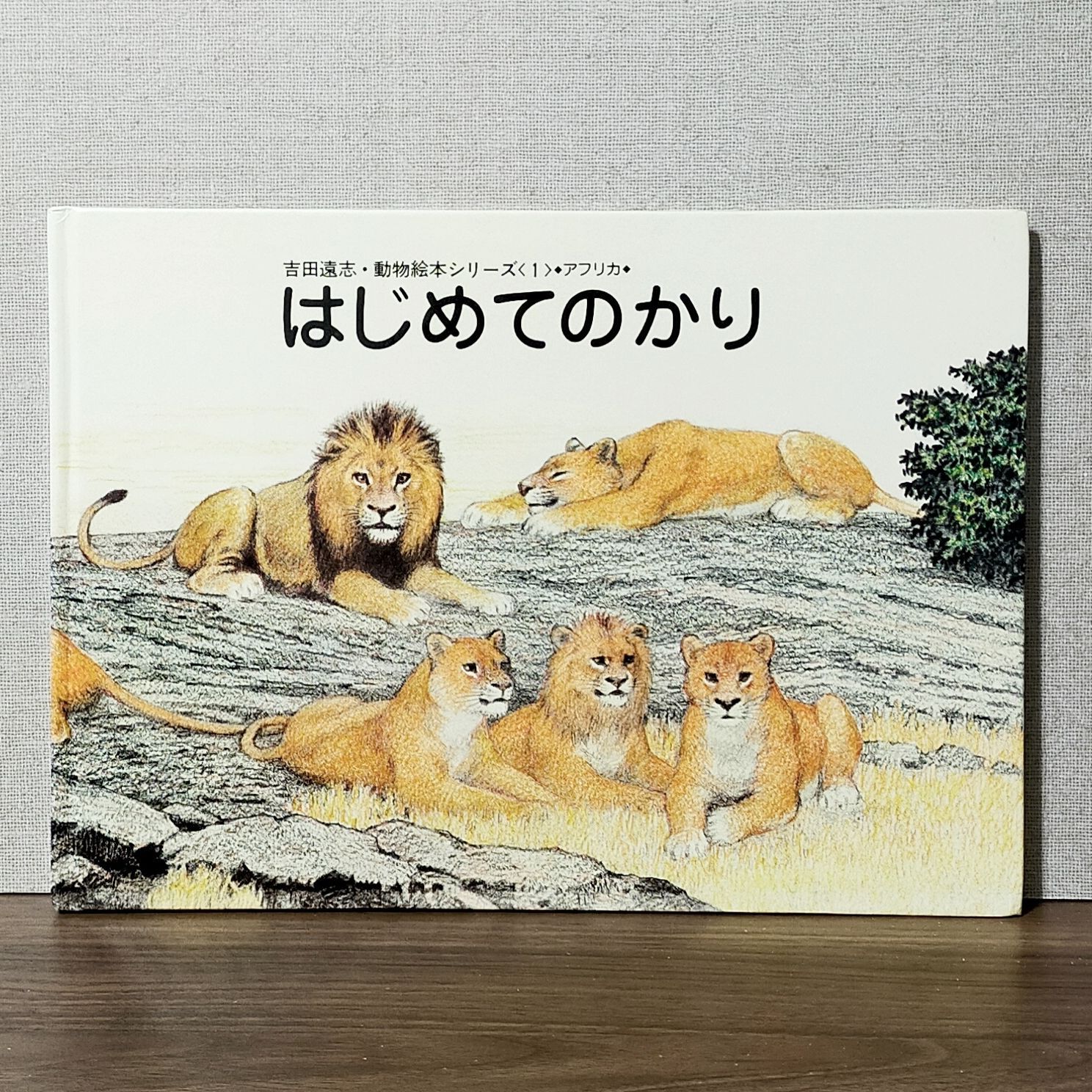 はじめてのかり (吉田遠志・動物絵本シリーズ - アフリカ (1