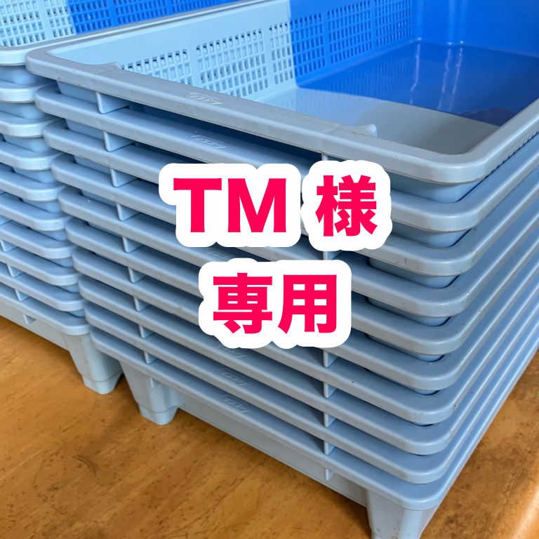 中古】いちご収穫コンテナ50個：TM様専用 - メルカリ