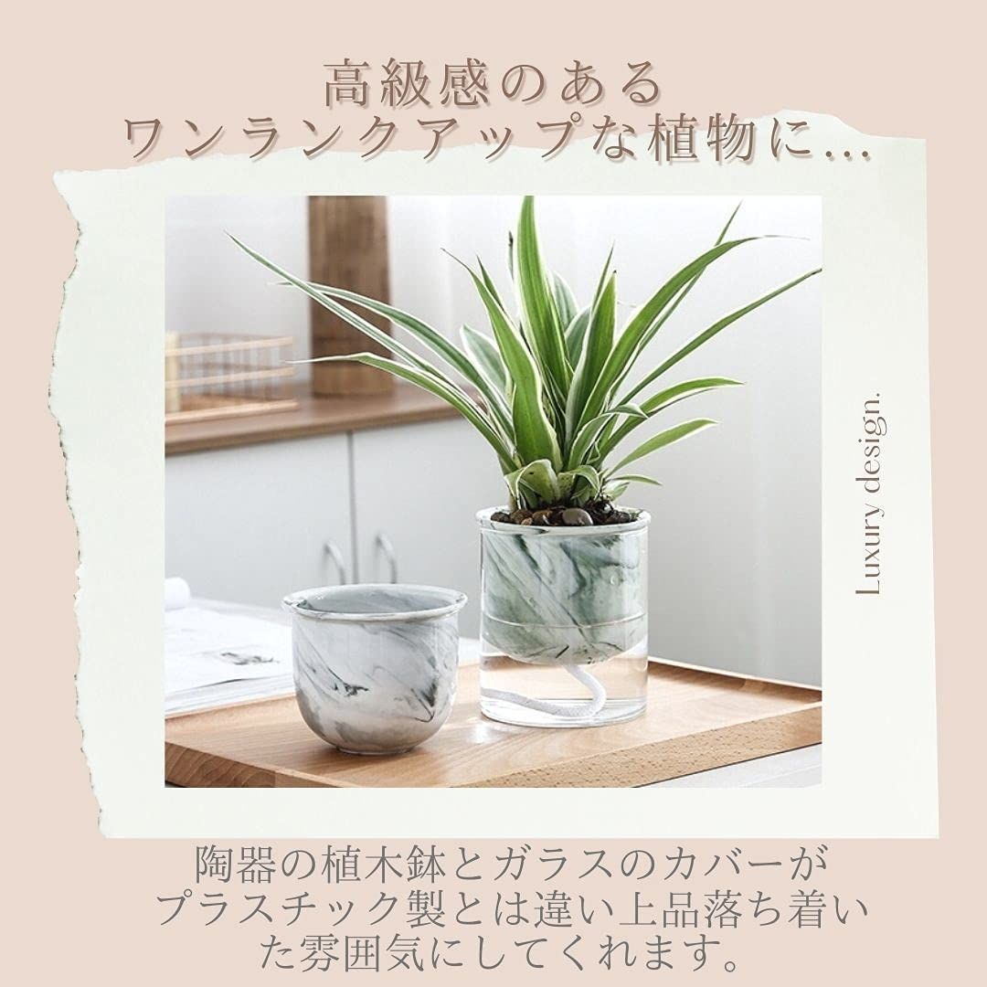 新着商品】3world 植木鉢 陶器 + ガラスカバー 自動給水 プランター