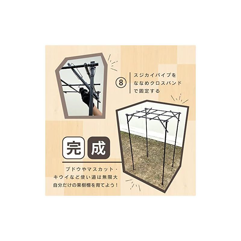 棚 アーチ