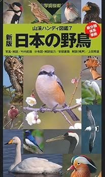 【】(非常に良い)新版 日本の野鳥 (山溪ハンディ図鑑) 叶内拓哉