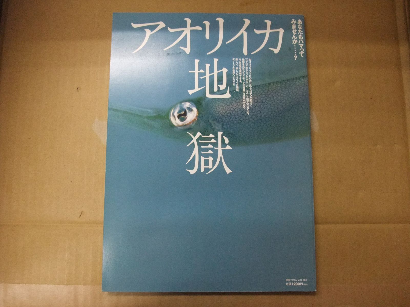 現代的な視点からの場の量子論 (SPRINGER 基礎編 - 発展編