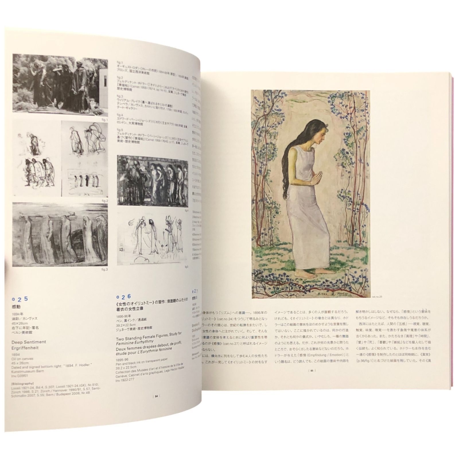 フェルディナント・ホドラー展 Ferdinand Hodler 新藤淳・NHK・NHK 
