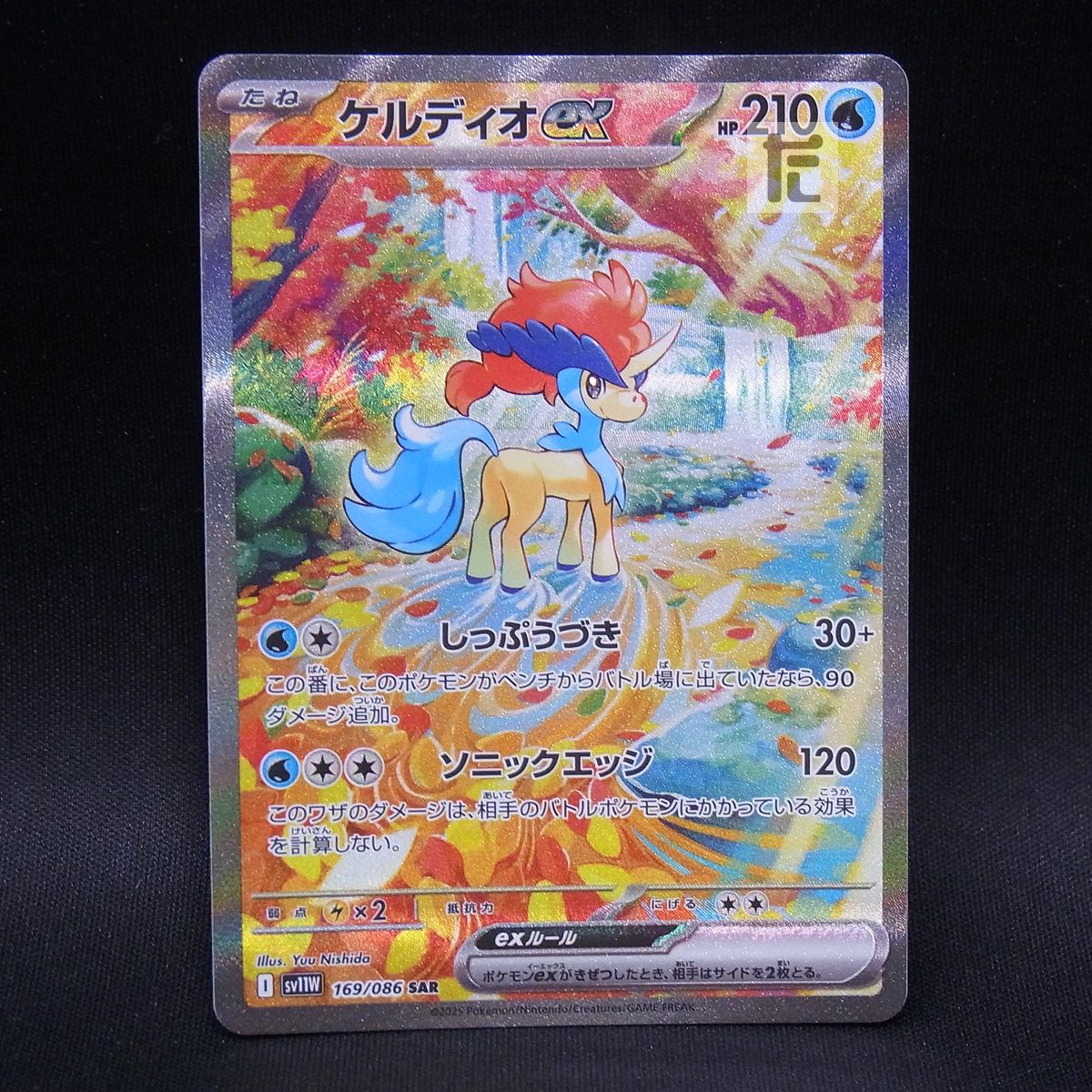ゼクロムex sar ケルディオex sar ゼクロムex【SAR】{169/086} - カードラッシュ[ポケモン]