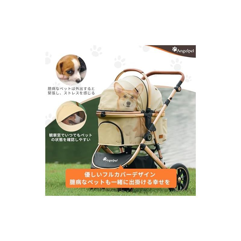 猫 小型犬多頭