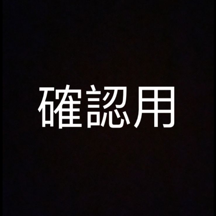 確認用その他 - その他