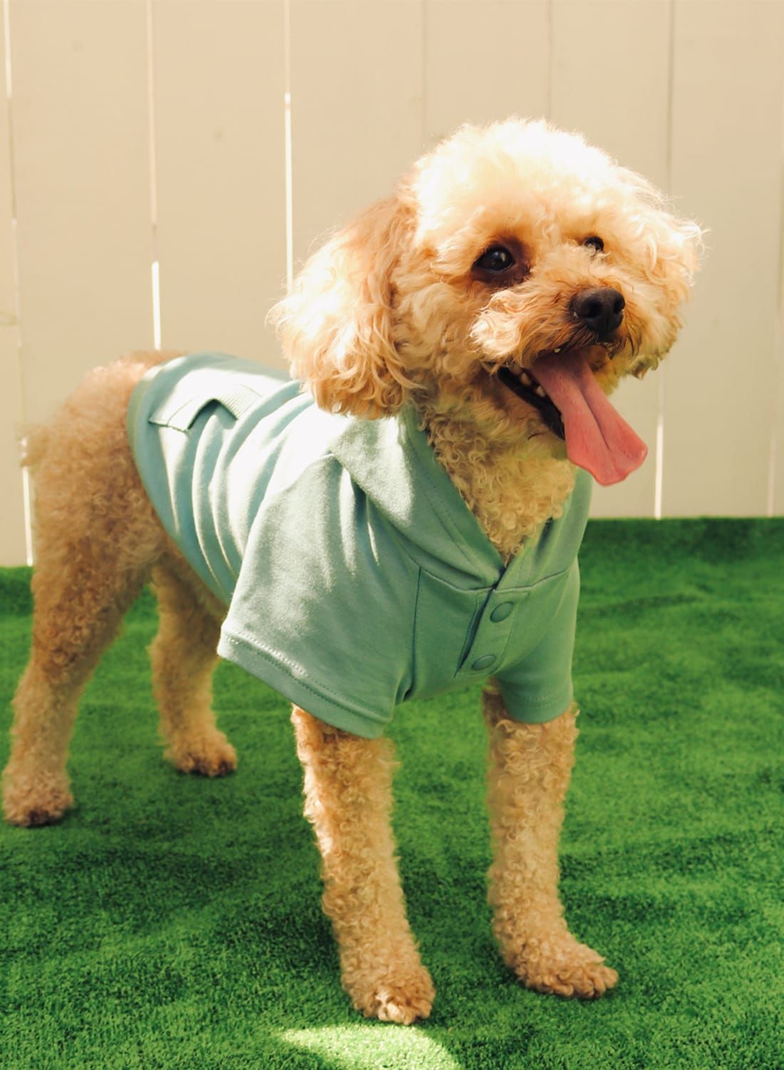 snow peak(スノーピーク)/SP Dog Parka(ドッグ パーカー)/ドッグウェア