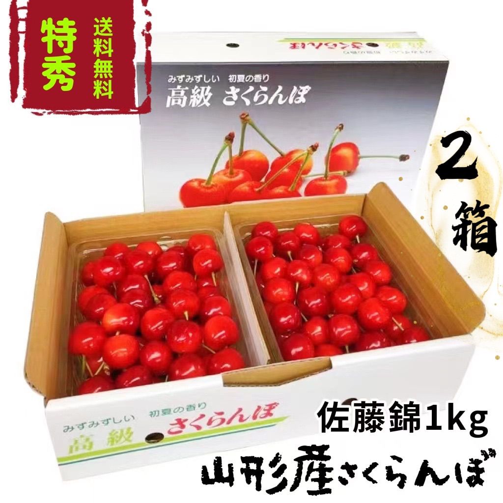 2024年度予約販売山形産さくらんぼ佐藤錦2箱