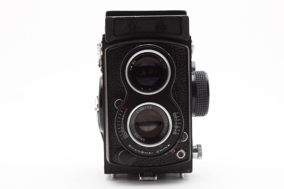 FlexaretⅤa 二眼レフ【正常品】