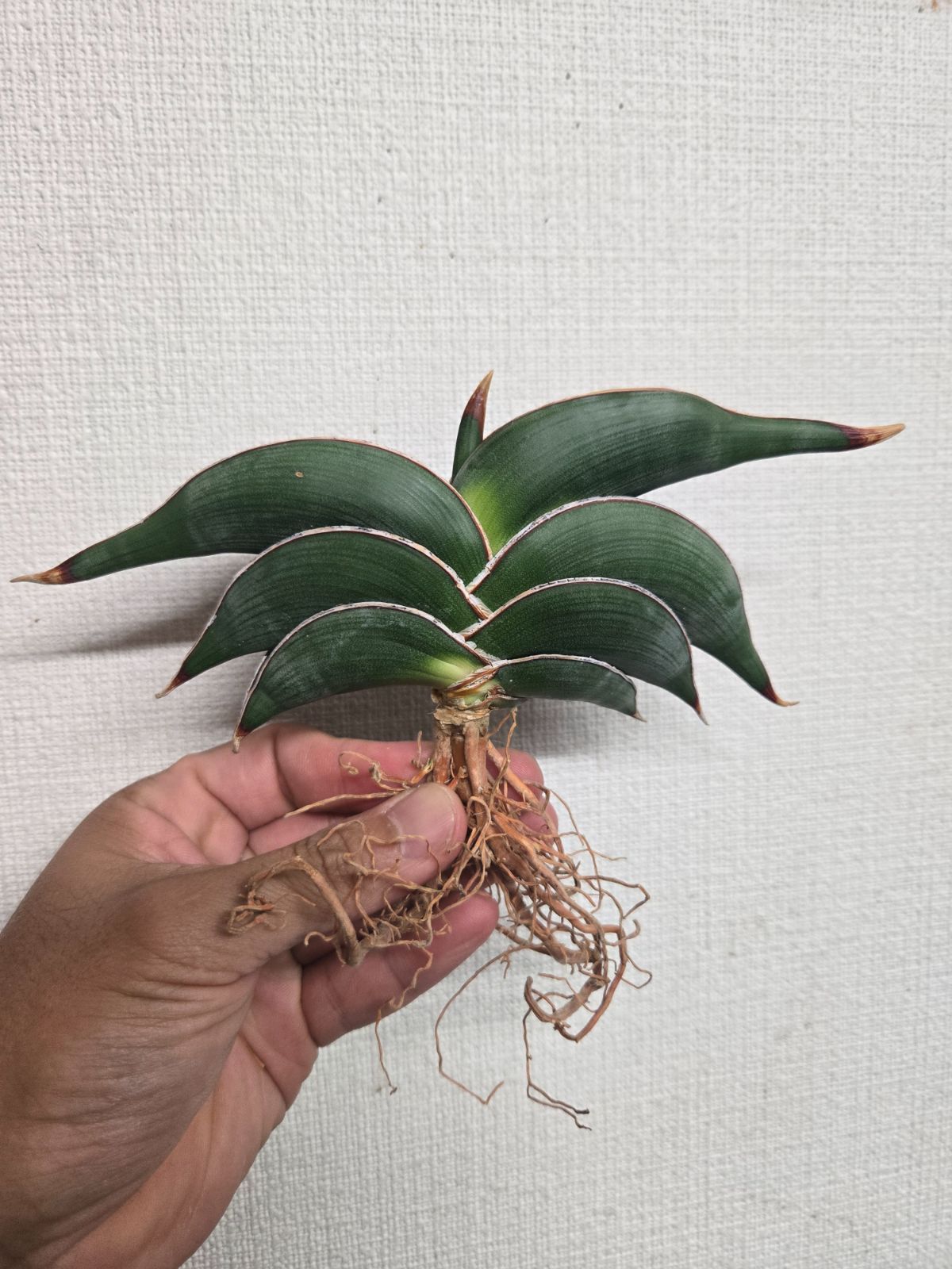 Ann demeulemeester 13AW スーパーロングニット Ann demeulemeester 13AW スーパーロングニット