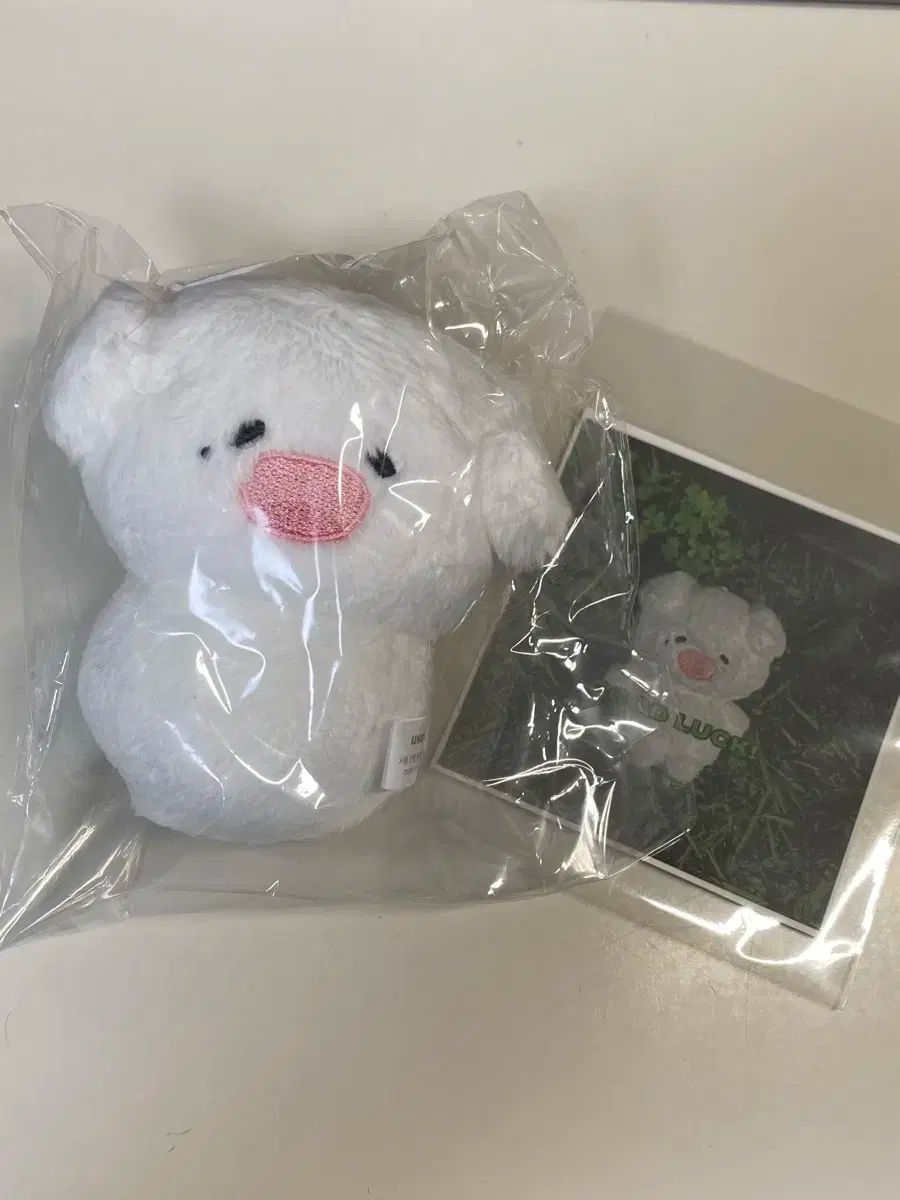 NCT(エヌシーティー) ジェノ(JENO) ジェンモンイ 人形 ぬいぐるみ ぬい