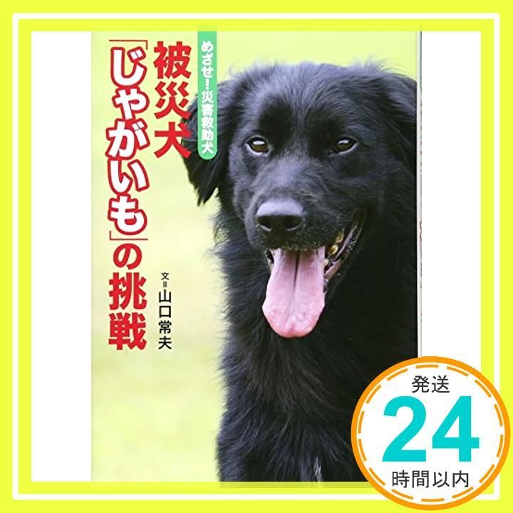 めざせ! 災害救助犬 被災犬 じゃがいも の挑戦 Dec 01 2014 山口 常夫_03