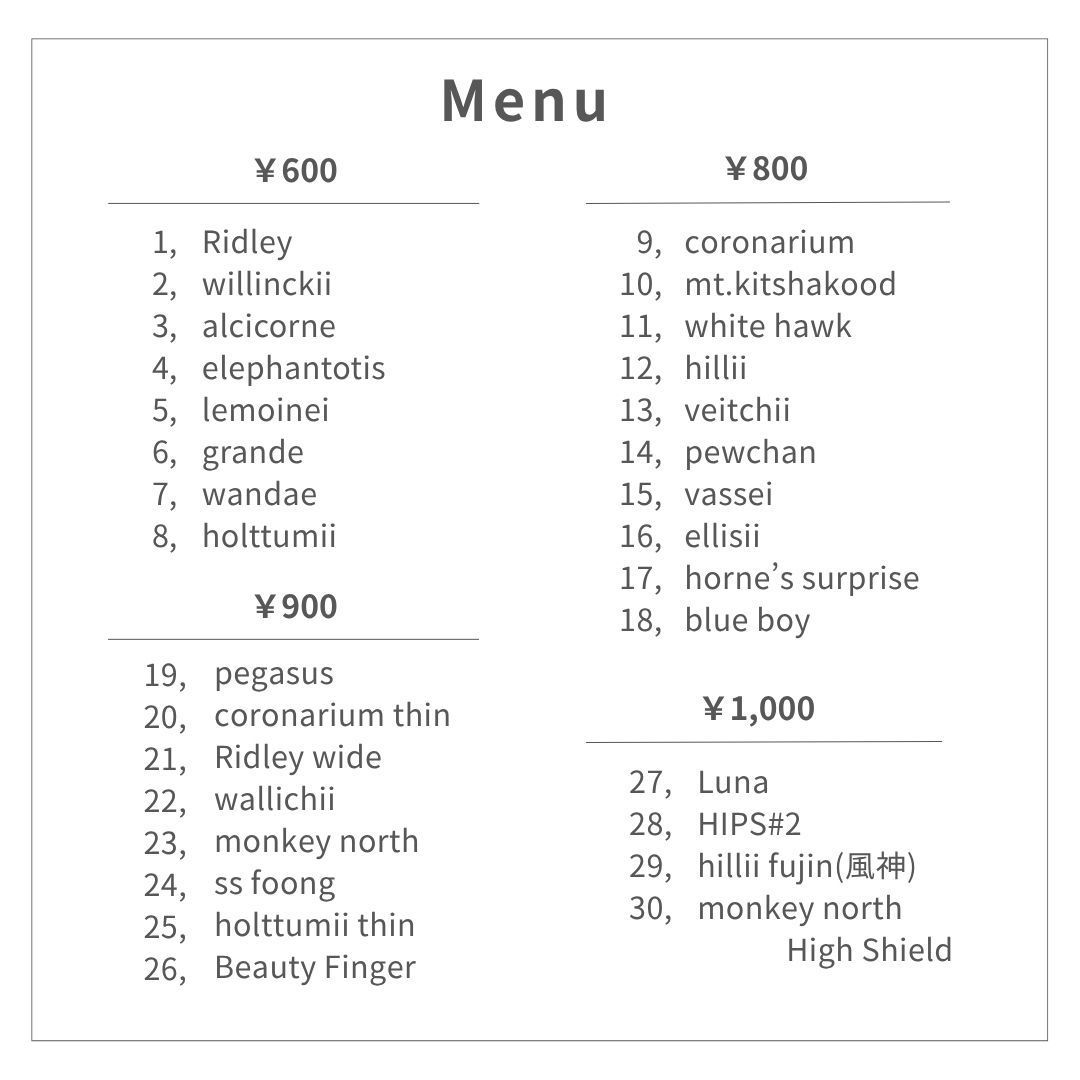 す*ー様 【数量限定】ビカクシダ胞子 56種セット 数量限定】ビカクシダ