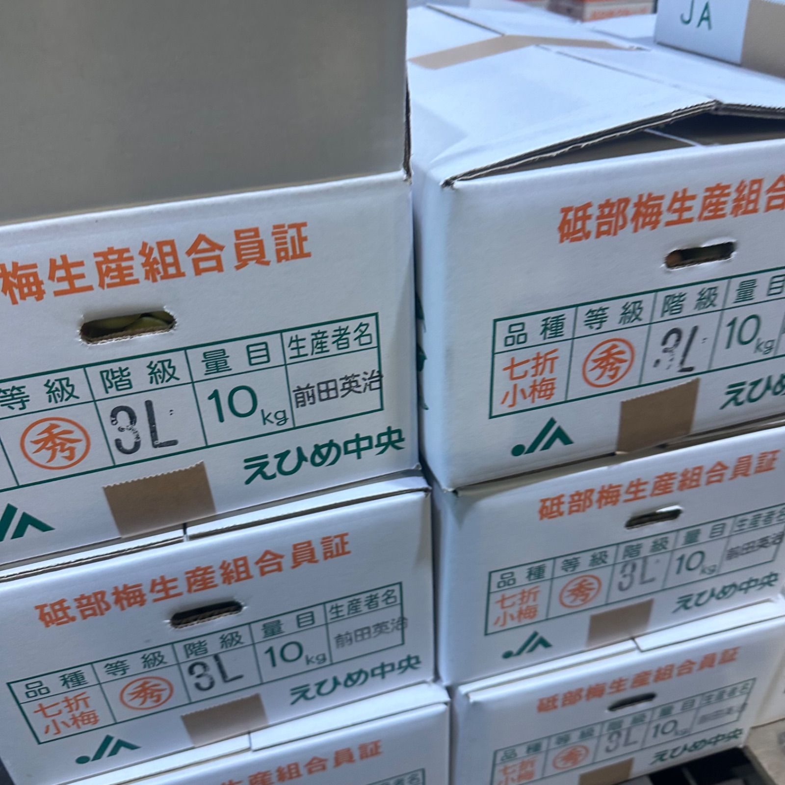 上 砥部七折小梅10キロ