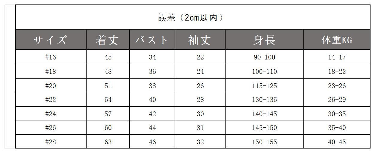 サッカー ユニフォーム ヨーロッパリーグ(EL) フランス代表 ホーム サッカーウェア 背番号なし 子供用練習着 上下セット 靴下レッグガード付き