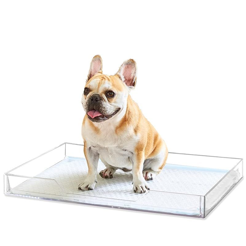 OFT クリアレット 2 M メッシュトレーセット メッシュ丸穴タイプ 犬 トイレ 0