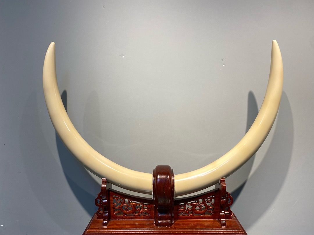 天然マンモス牙美しい手作り彫刻 干支羊 置物飾り 天然マンモス牙美しい手作り彫刻 龍行天下 保健球