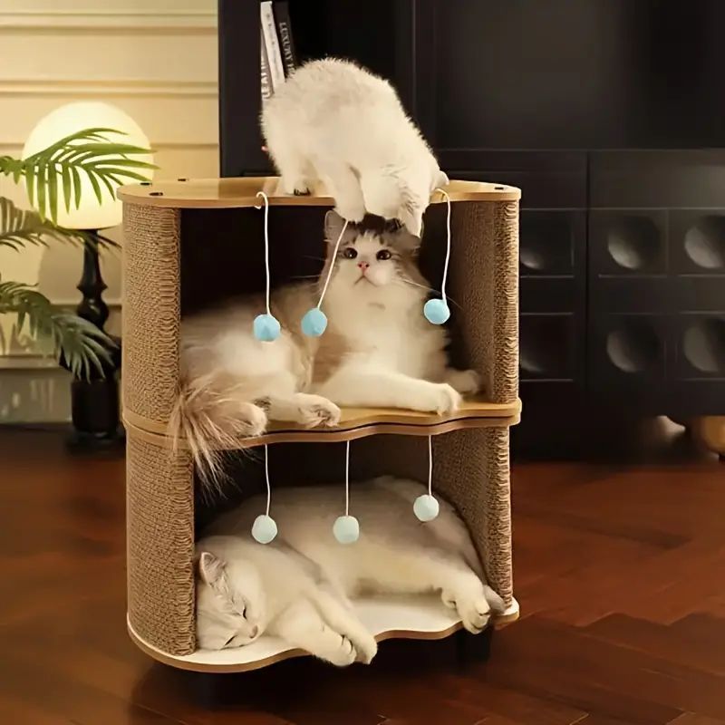 ボール