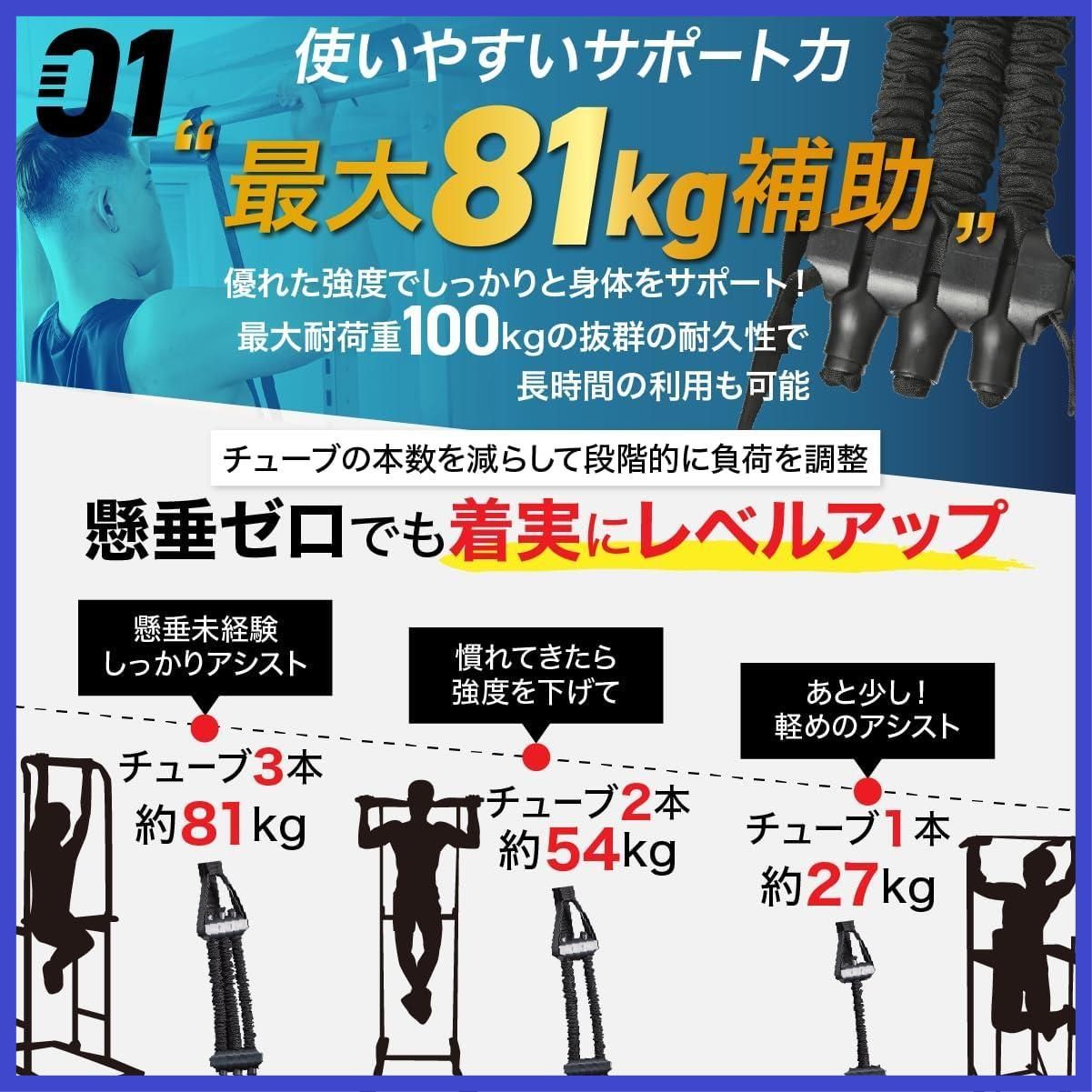 補助 アシスト チューブ チンニング バンド MAX81kgのアシスト力!3段階 