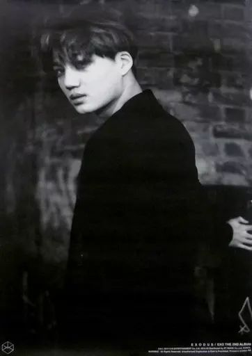 中古】ポスター(男性) ポスター カイ(EXO) 「CD EXODUS」 購入特典